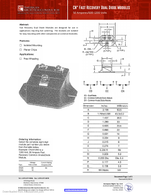 CN241250 Datasheet PDF American Microsemiconductor