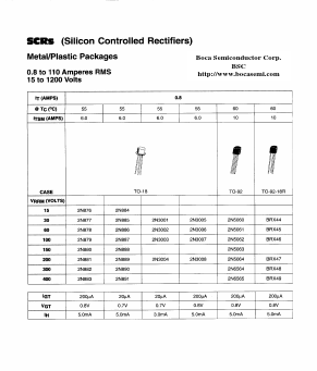 2N876 Datasheet PDF Boca Semiconductor