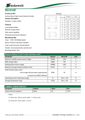 RS1010F Datasheet PDF Bruckewell Technology LTD