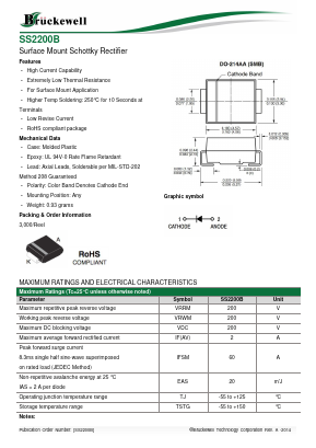 SS2200B Datasheet PDF Bruckewell Technology LTD