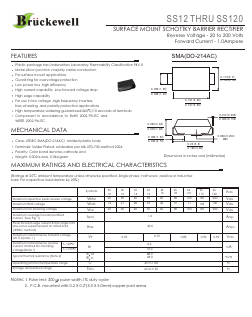 SS12-120 Datasheet PDF Bruckewell Technology LTD
