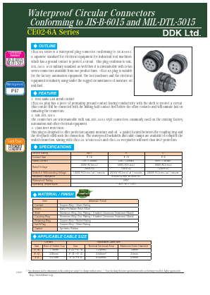 CE02-6A24-10GSZ-D Datasheet PDF DDK Ltd.