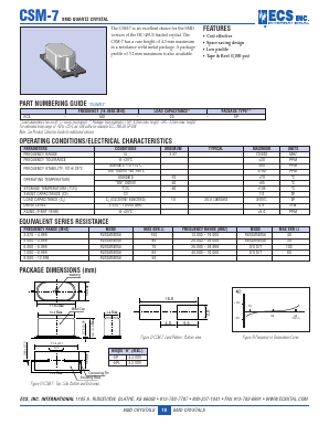 CSM-7 Datasheet PDF ECS, Inc.