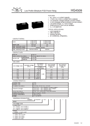 HG4509/110-1Z22 Datasheet PDF ETC