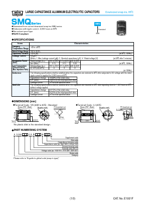 ESMQ161VSN102MP40S Datasheet PDF ETC