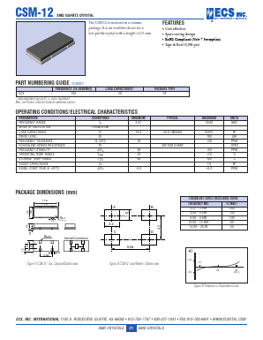 CSM-12 Datasheet PDF ETC1