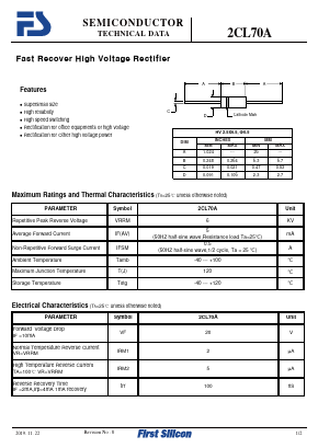 2CL70A Datasheet PDF First Silicon Co., Ltd