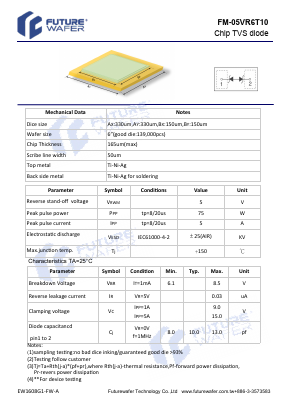 FM-05VR6T10 Datasheet PDF FutureWafer Tech Co.,Ltd