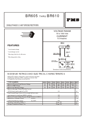 BR61 Datasheet PDF Formosa Technology