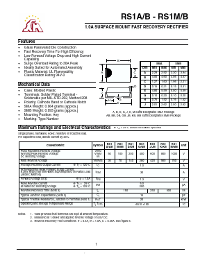 RS1B/BB Datasheet PDF Gaomi Xinghe Electronics Co., Ltd.