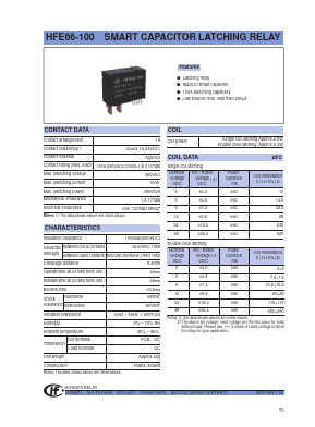 HFE66-100 Datasheet PDF Hongfa Technology