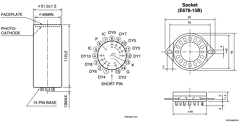 R375 Datasheet PDF Hamamatsu Photonics