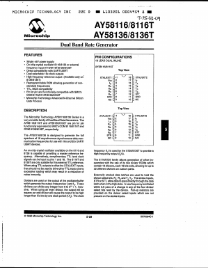 AY58116 Datasheet PDF Microchip Technology