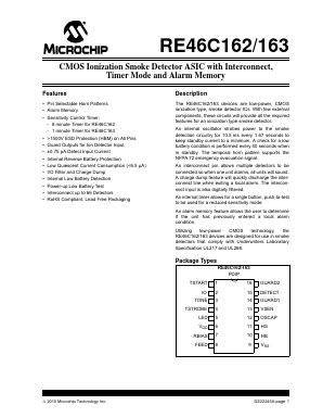 RE46C162E16F Datasheet PDF Microchip Technology