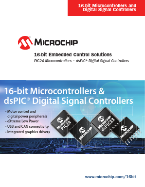 RN-171-PICTAIL Datasheet PDF Microchip Technology