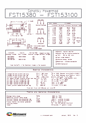 FST153100 Datasheet PDF Microsemi Corporation