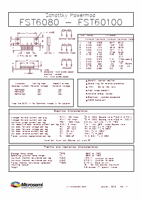 FST60100A Datasheet PDF Microsemi Corporation