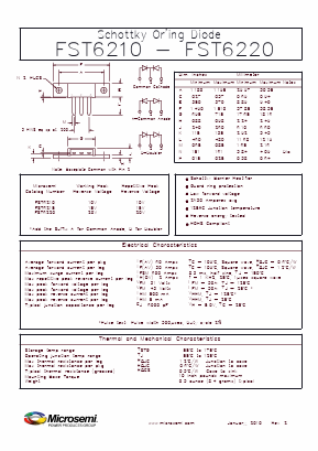 FST6210A Datasheet PDF Microsemi Corporation