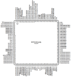 MC9S12DT512 Datasheet PDF Motorola => Freescale