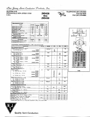 2N5428 Datasheet PDF New Jersey Semiconductor