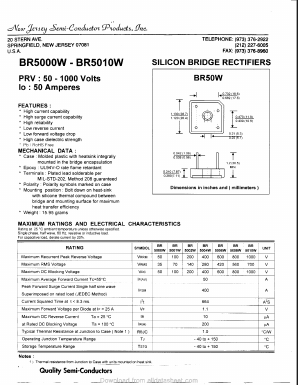 BR5006W Datasheet PDF New Jersey Semiconductor