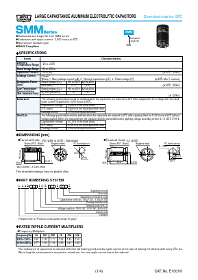 ESMM161VSN821MP40S Datasheet PDF Nippon Chemi-Con