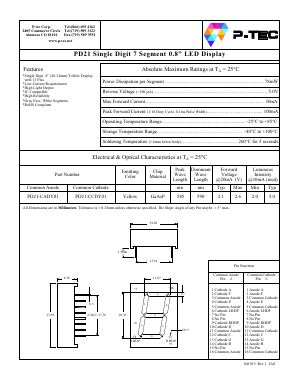 PD21-CCDY01 Datasheet PDF P-tec Corporation
