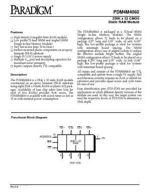 PDM4M4060S15AM Datasheet PDF Paradigm Technology