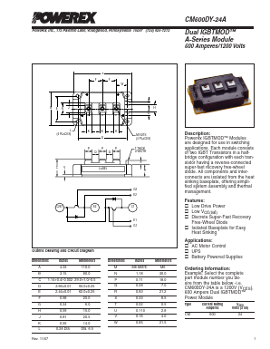 CM600DY-24A Datasheet PDF Powerex