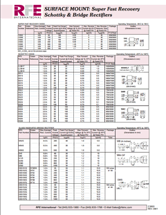 DBS101G_ Datasheet PDF RFE international