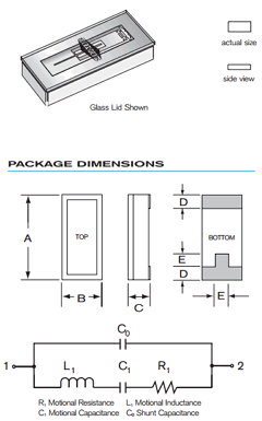 CX1CSM1 Datasheet PDF RSG Electronic Components GmbH