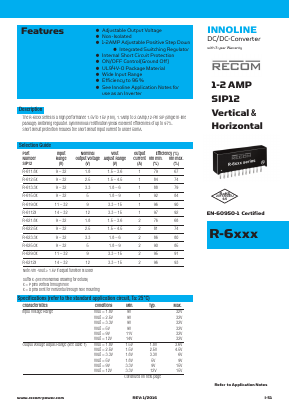 R-619.0P Datasheet PDF RECOM Electronic GmbH