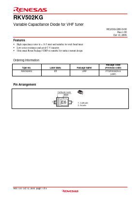 RKV502KG Datasheet PDF Renesas Electronics