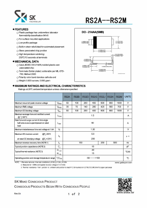 RS2A Datasheet PDF SHIKE Electronics