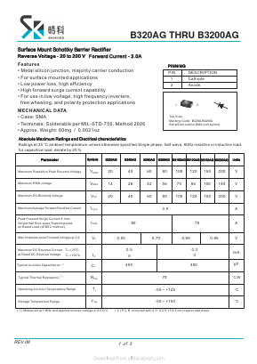 B3100AG Datasheet PDF SHIKE Electronics