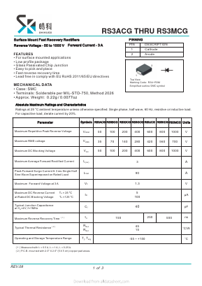 RS3ACG Datasheet PDF SHIKE Electronics