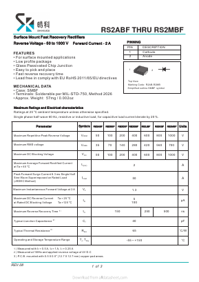 RS2ABF Datasheet PDF SHIKE Electronics