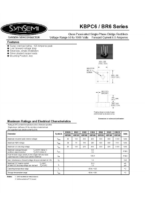 BR61 Datasheet PDF SynSemi, Inc.