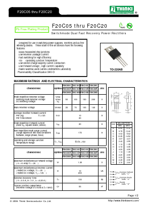 F20C05 Datasheet PDF Thinki Semiconductor Co., Ltd.