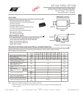 GF10G Datasheet PDF Unspecified2