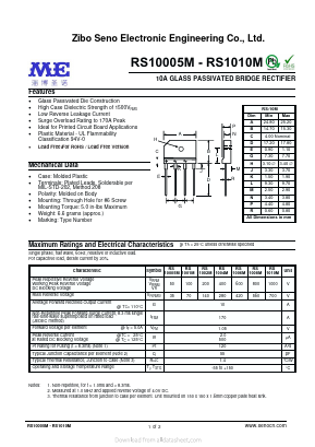 RS1008M Datasheet PDF Zibo Seno Electronic Engineering Co.,Ltd